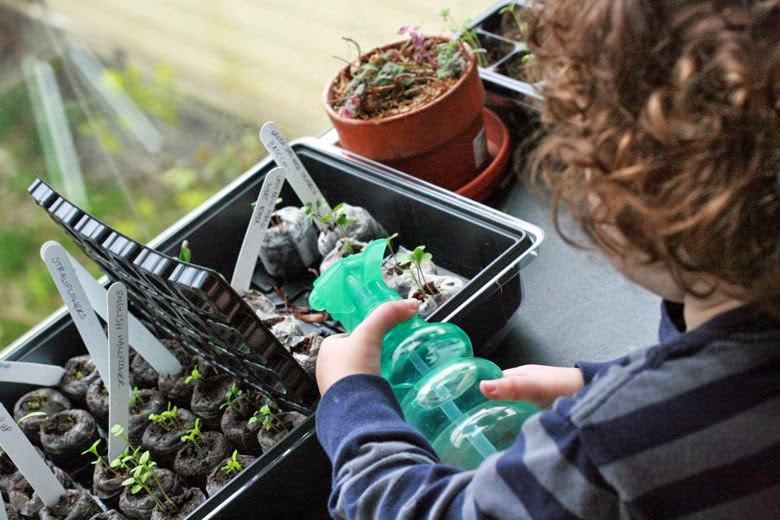 Child with curly hair spraying water on seedlings in planting trays with a green spray bottle