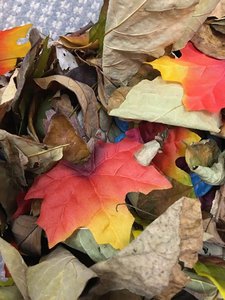 Plastic bin filled with colorful fall play leaves