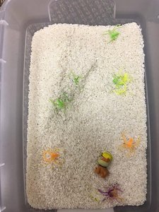 Plastic bin of rice with small toys hidden in it