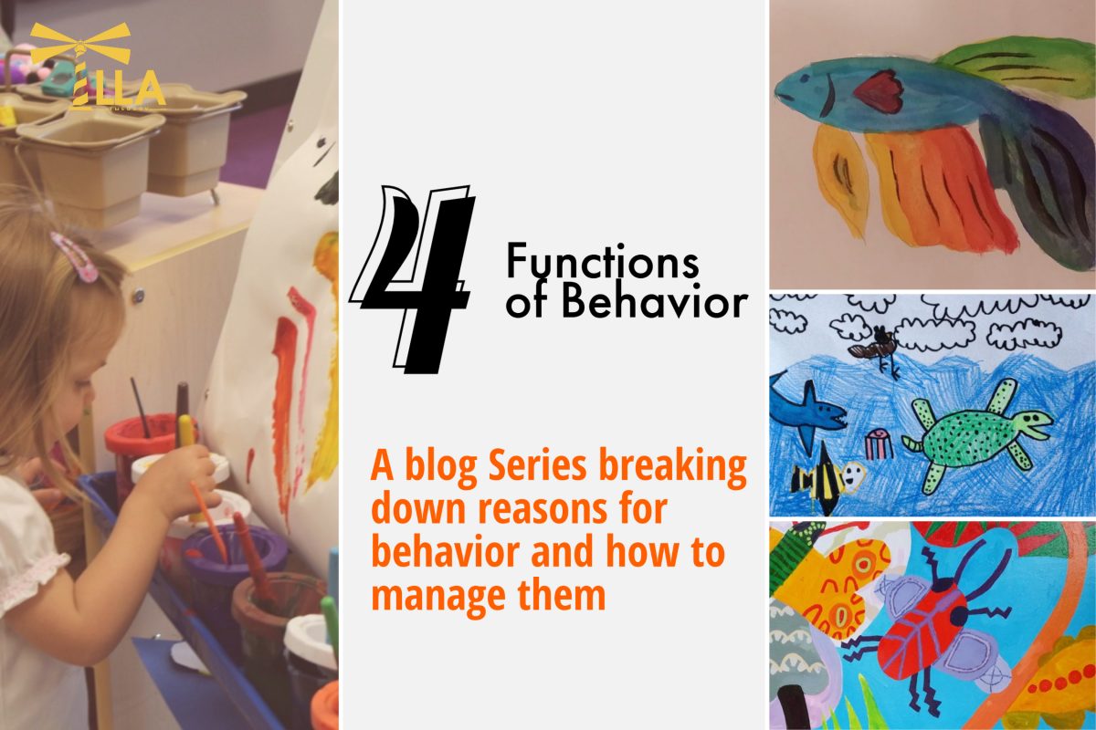 Functions of behaviors